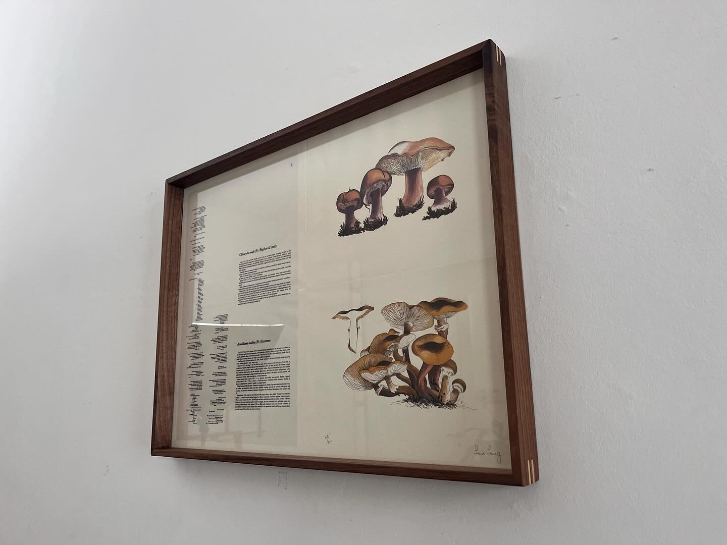 Walnut Picture Frame