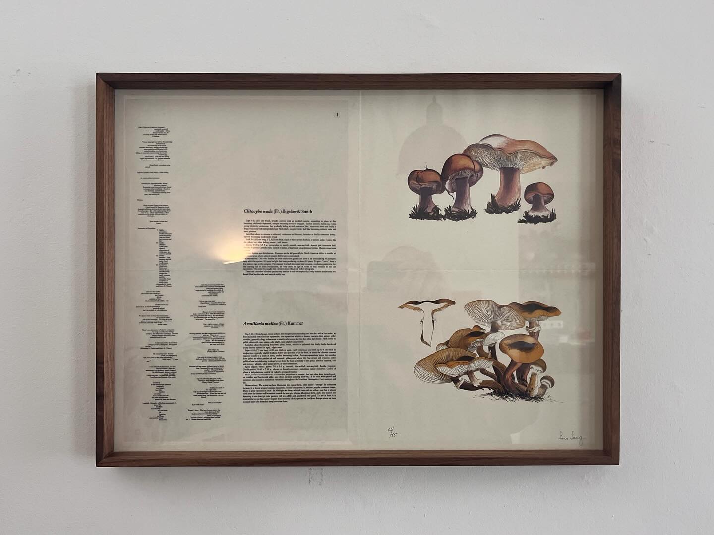 Walnut Picture Frame
