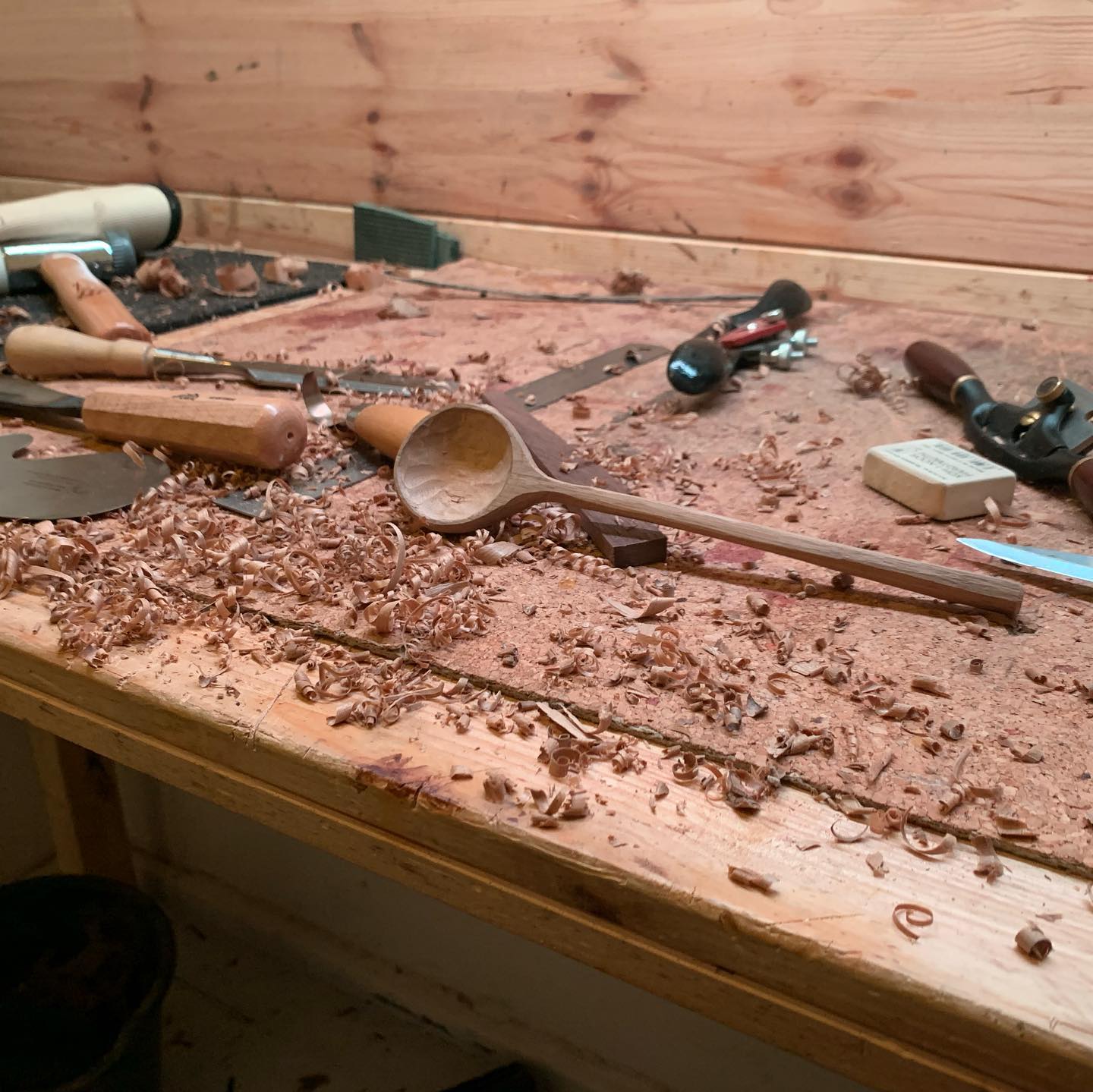 Walnut Spoon III