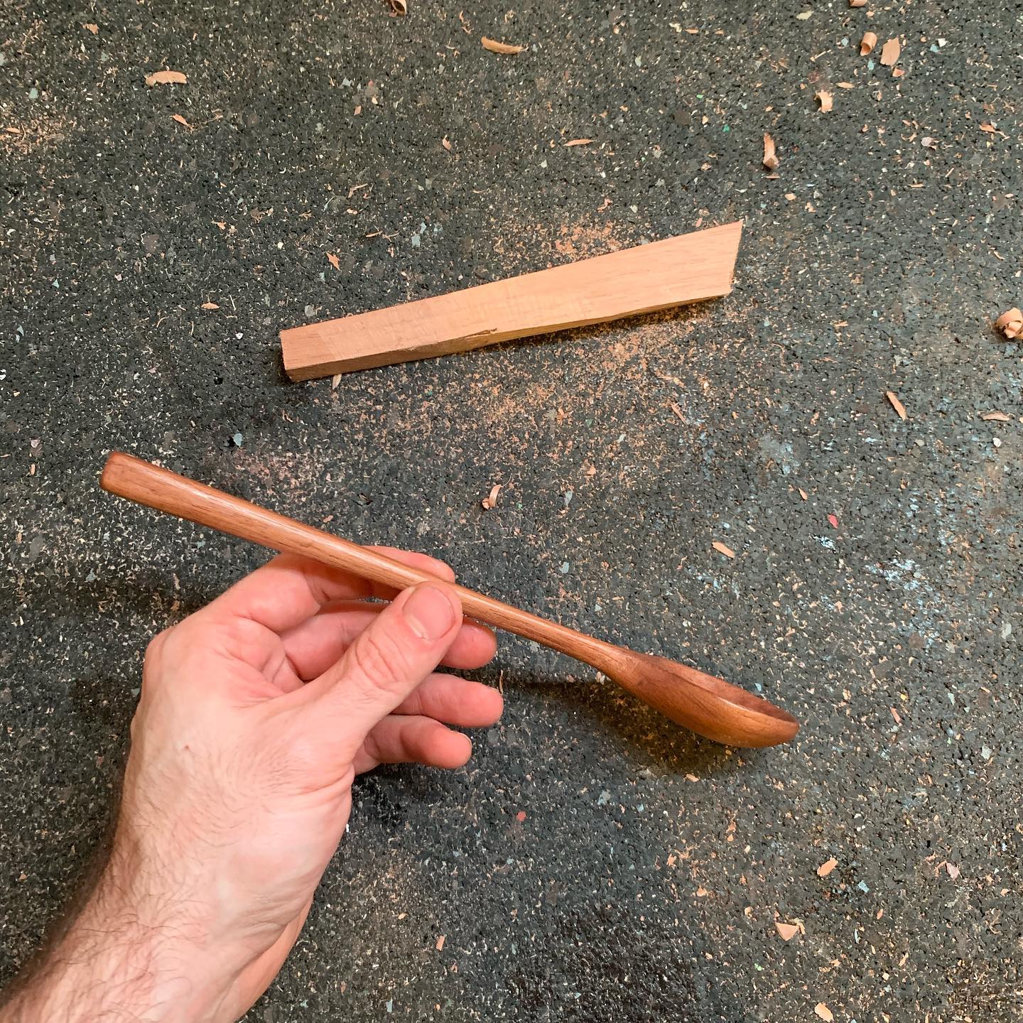 Walnut Spoon III