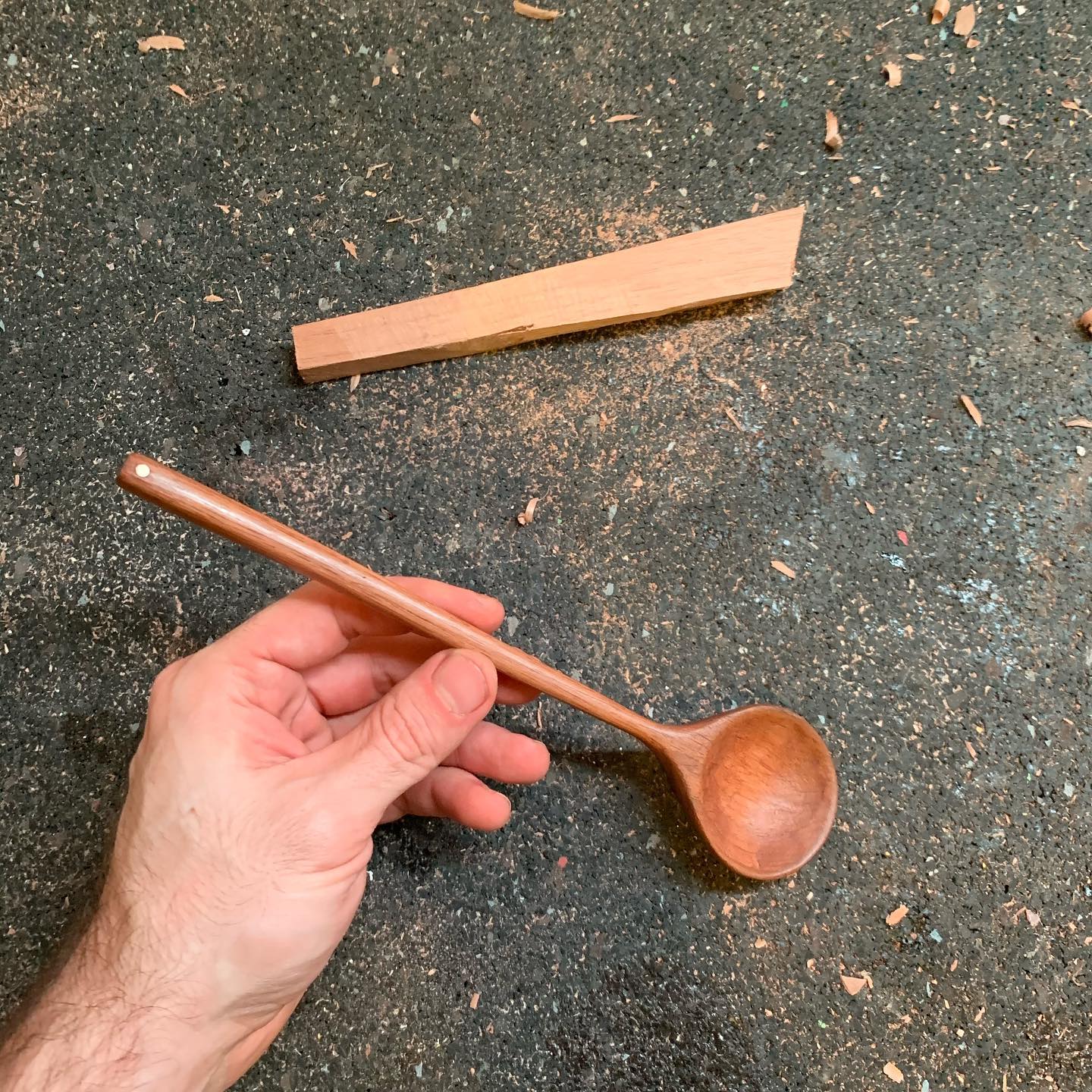 Walnut Spoon III